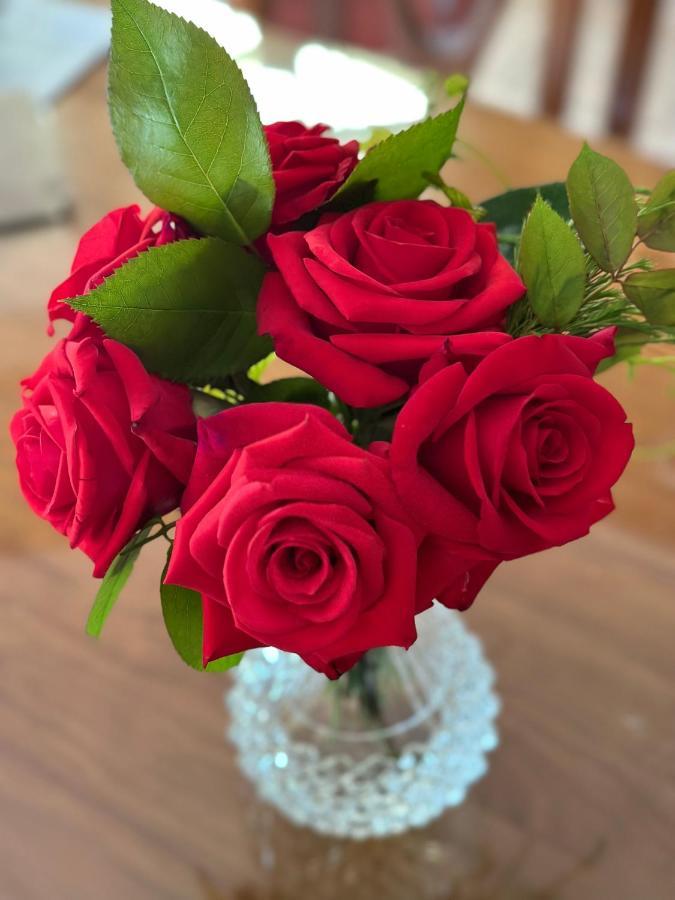 Wine And Roses Bed And Breakfast Аделейд Екстериор снимка