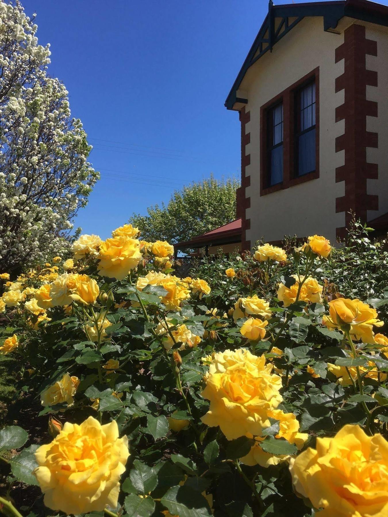 Wine And Roses Bed And Breakfast Аделейд Екстериор снимка